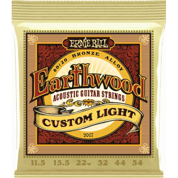 Ernie Ball 2007 Earthwood 80/20 Custom Light